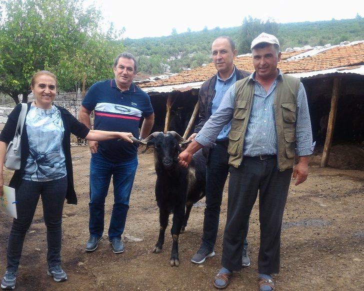 Muğla’da ‘teke değişim’ projesi G1