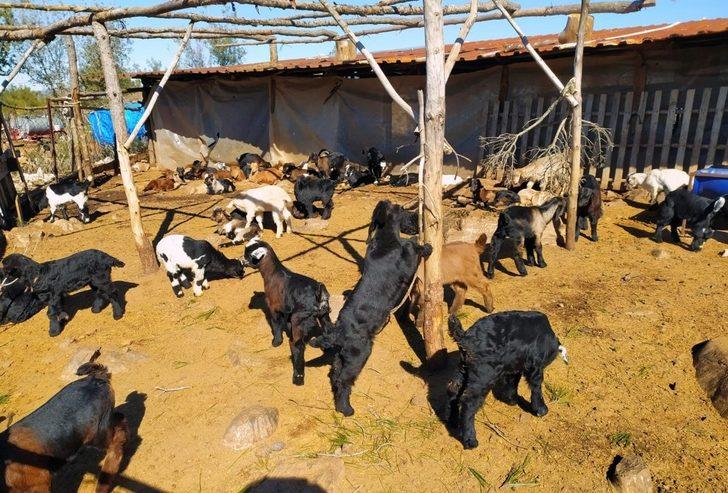 Muğla’da ‘teke değişim’ projesi G2