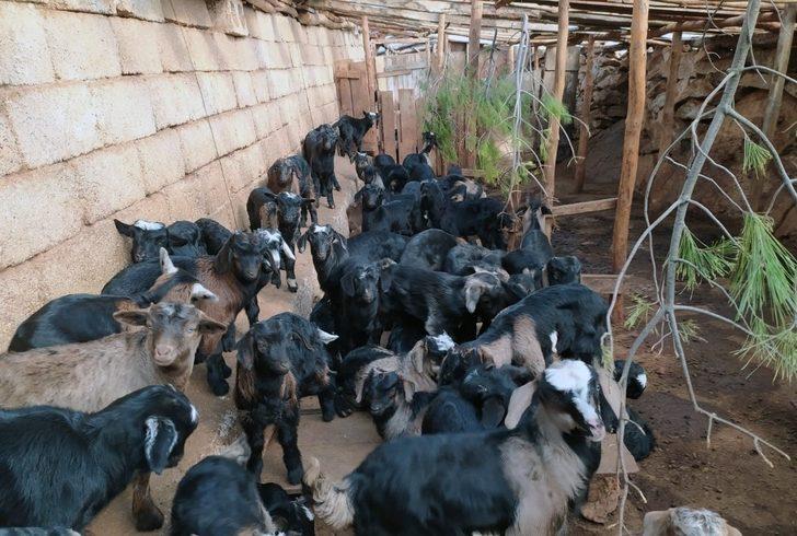 Muğla’da ‘teke değişim’ projesi G3