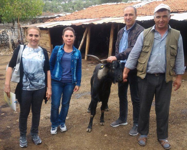 Muğla’da ‘teke değişim’ projesi G4