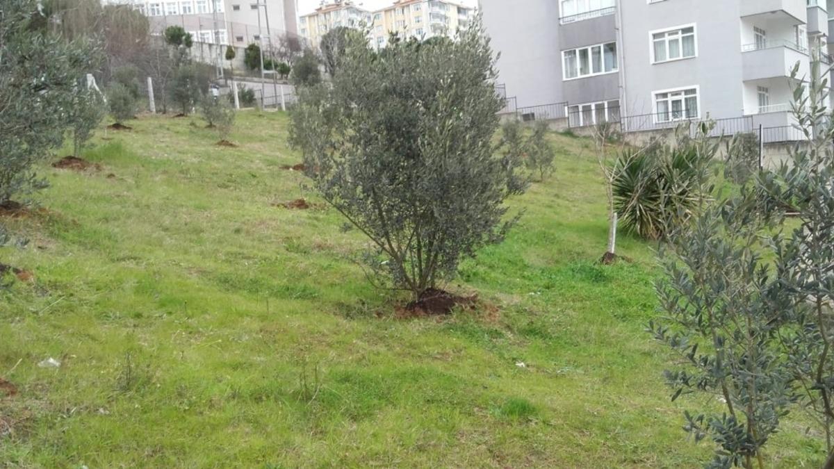 Daha g&uuml;zel bir Sinop i&ccedil;in