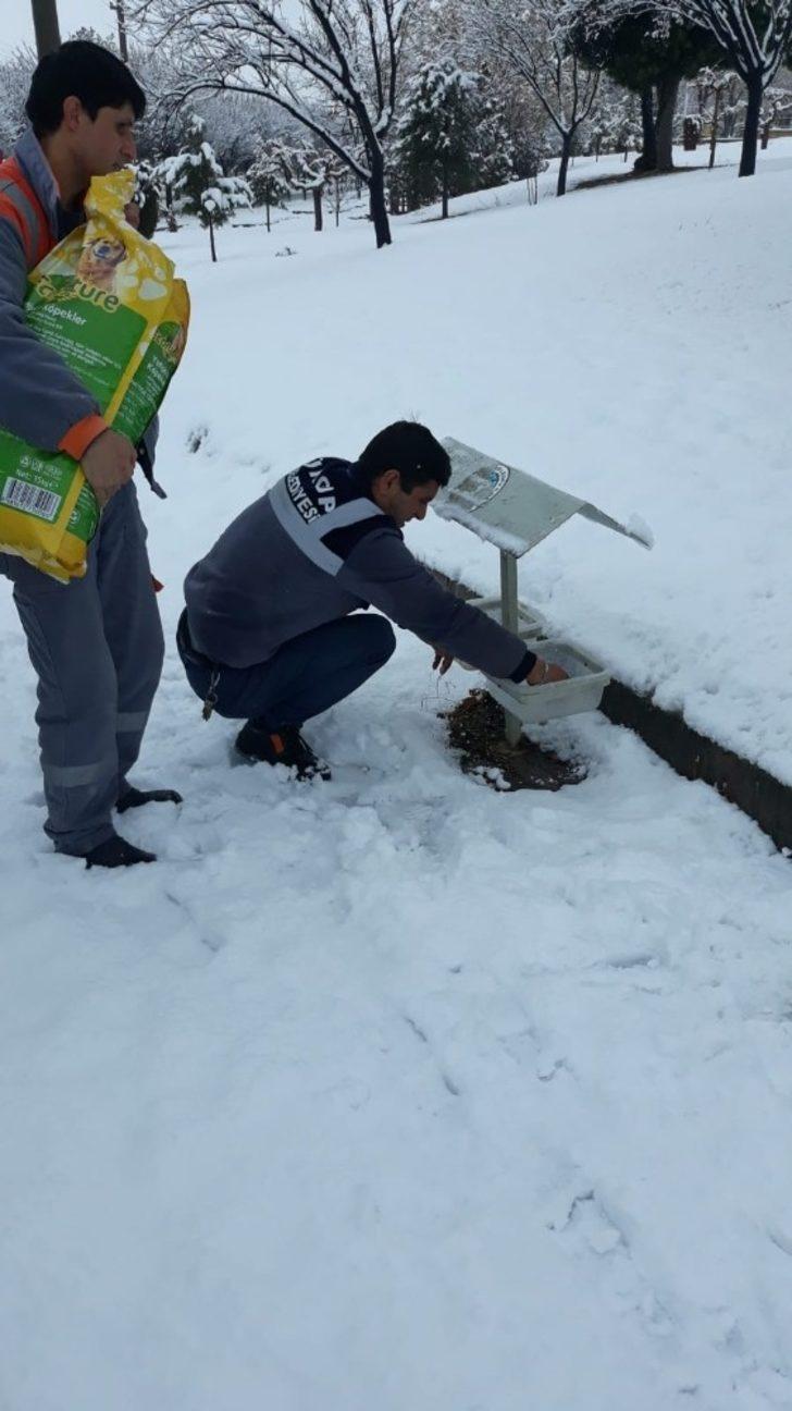 Ürgüp Belediyesi karla mücadele çalışmalarını aralıksız devam ediyor G3
