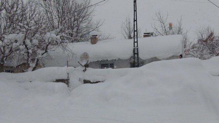 Bitlis’te tipi ve sis hayatı felç etti G1