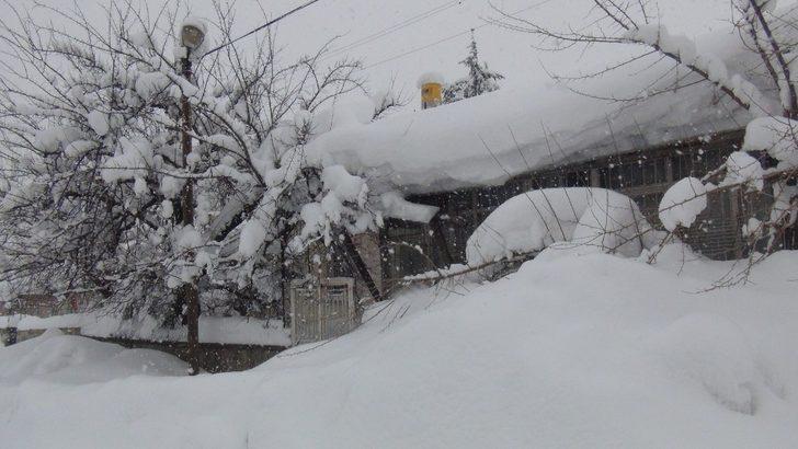 Bitlis’te tipi ve sis hayatı felç etti G3