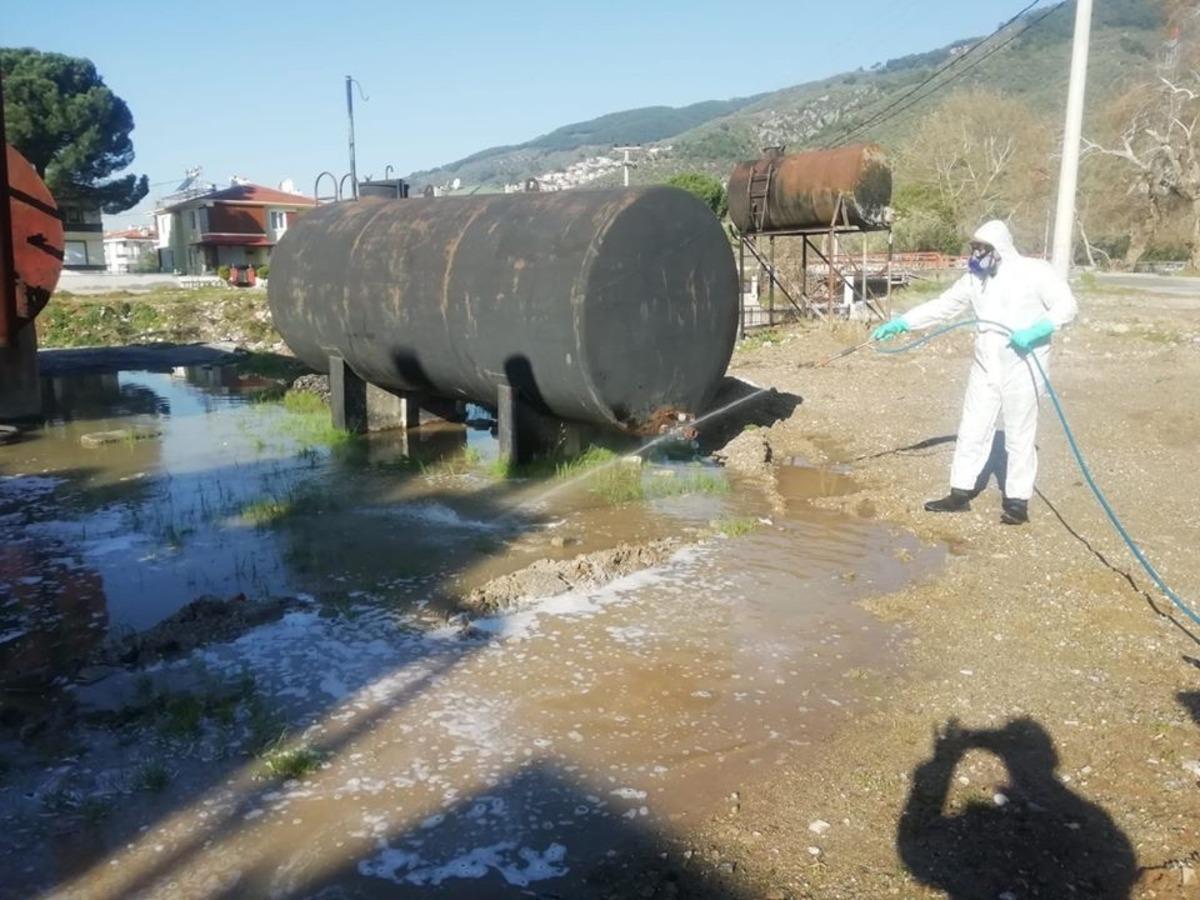 Sinekle m&uuml;cadele &ccedil;alışmaları başladı