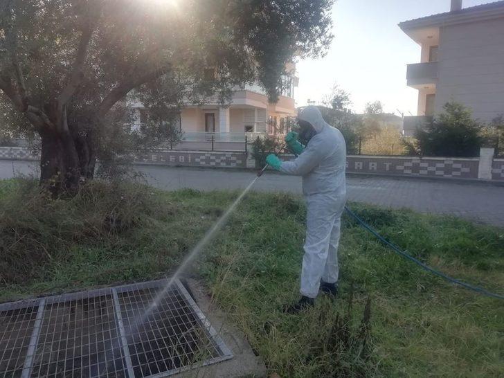 Sinekle mücadele çalışmaları başladı G2