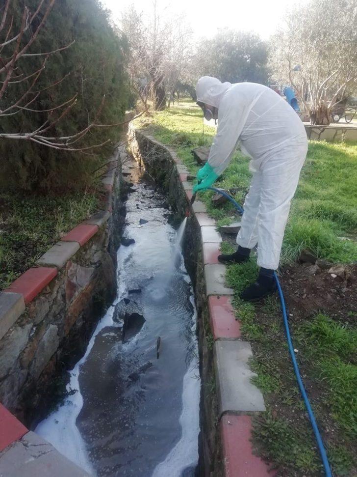 Sinekle mücadele çalışmaları başladı G4