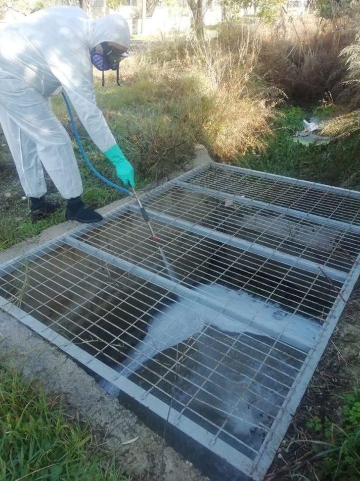 Sinekle mücadele çalışmaları başladı G5