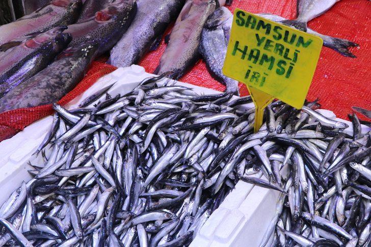 Hamsinin kulağına kar suyu kaçtı! Kapış kapış satılıyor G1