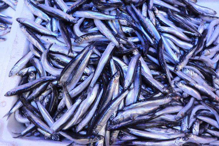 Hamsinin kulağına kar suyu kaçtı! Kapış kapış satılıyor G2