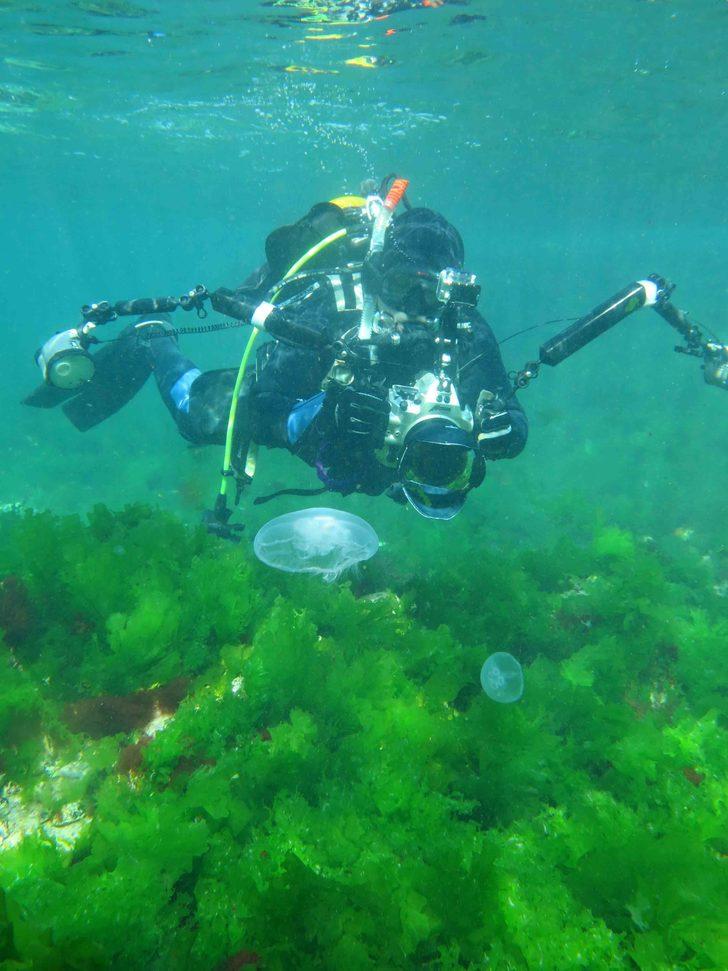 İstanbul'un gizemli adası Vordonisi ilk kez görüntülendi G5
