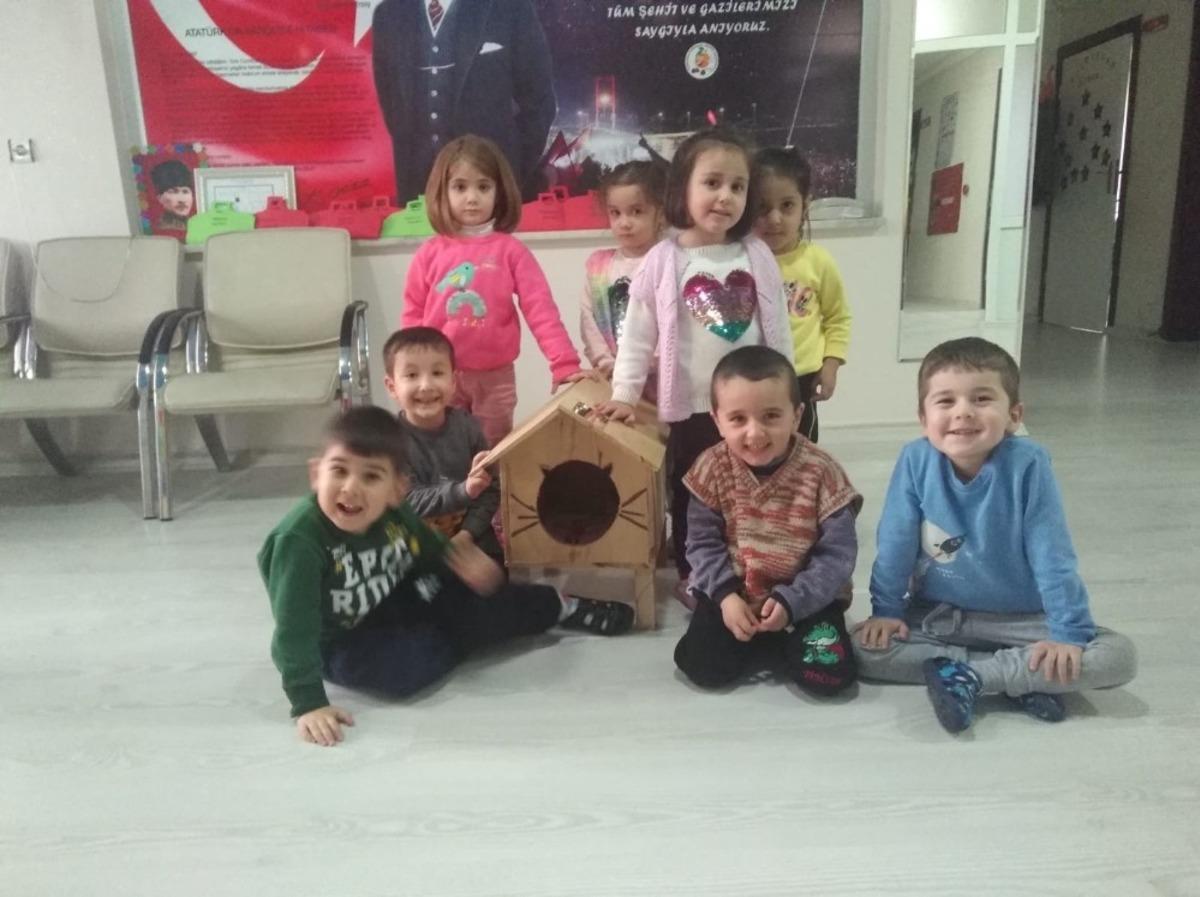 &Ouml;ğrenciler kedilere sıcak yuva yaptı