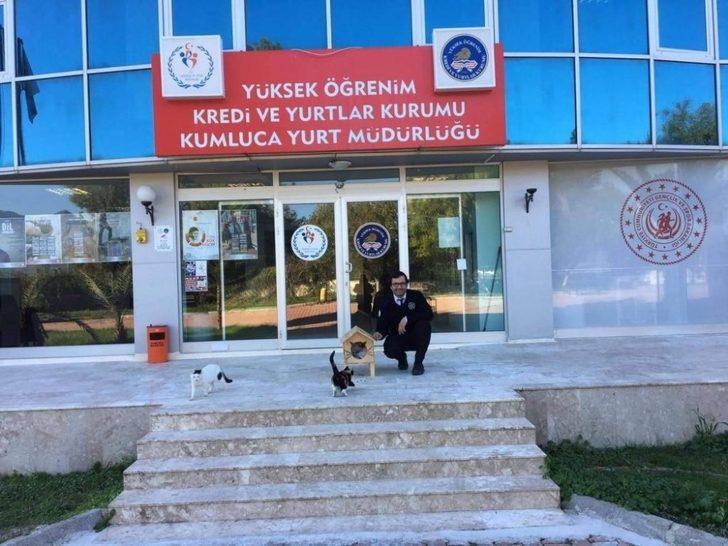 Öğrenciler kedilere sıcak yuva yaptı G2
