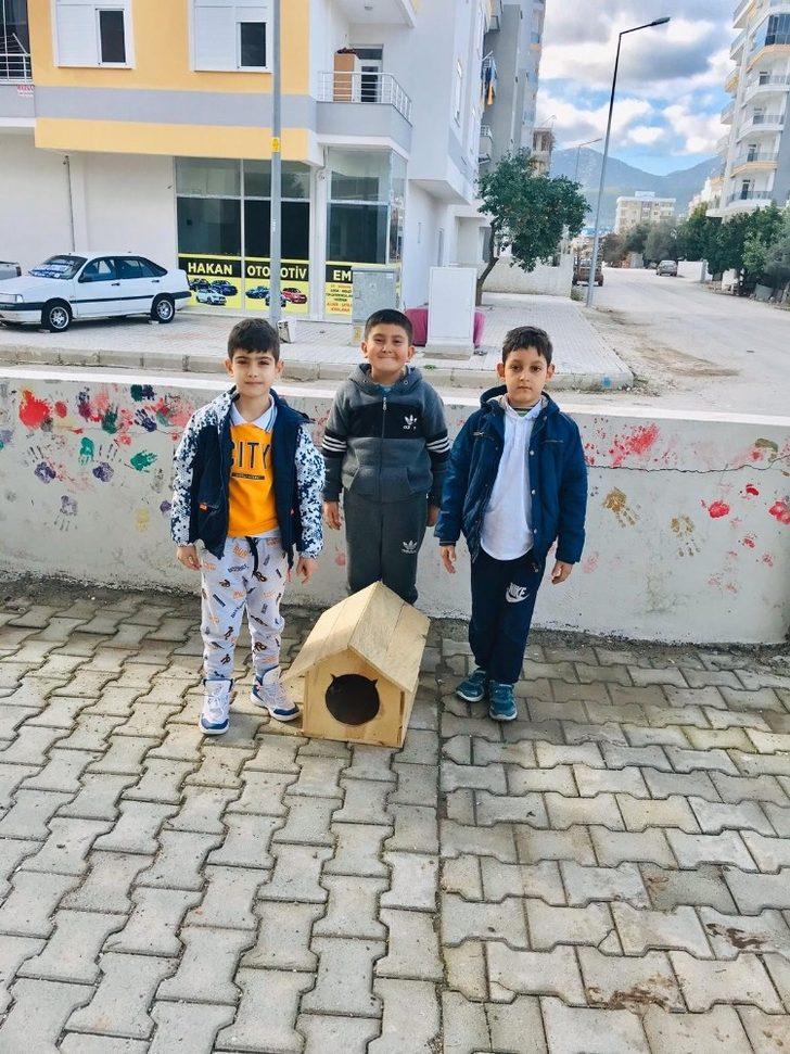 Öğrenciler kedilere sıcak yuva yaptı G4