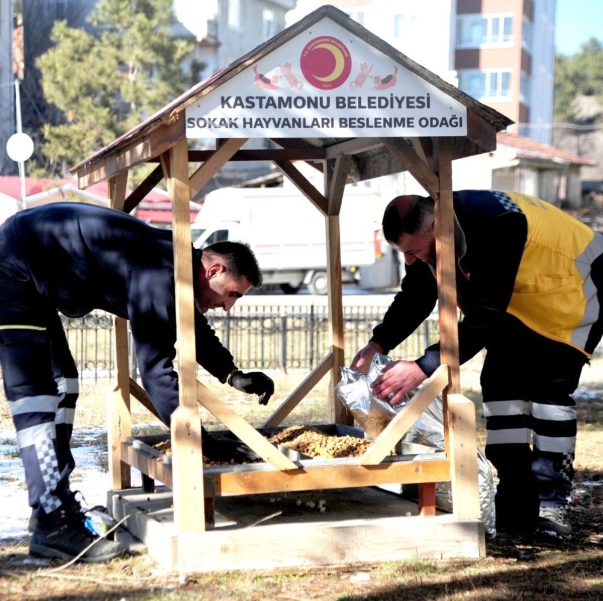 Kastamonu&rsquo;da sokak hayvanlarına yiyecek desteği