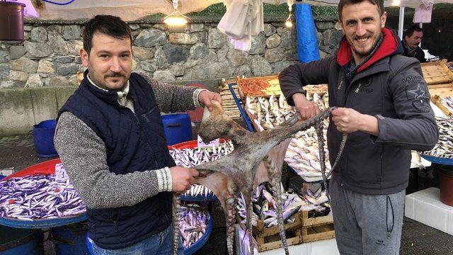 Gören dönüp bir daha baktı... 3 metrelik ahtapot ilgi odağı oldu