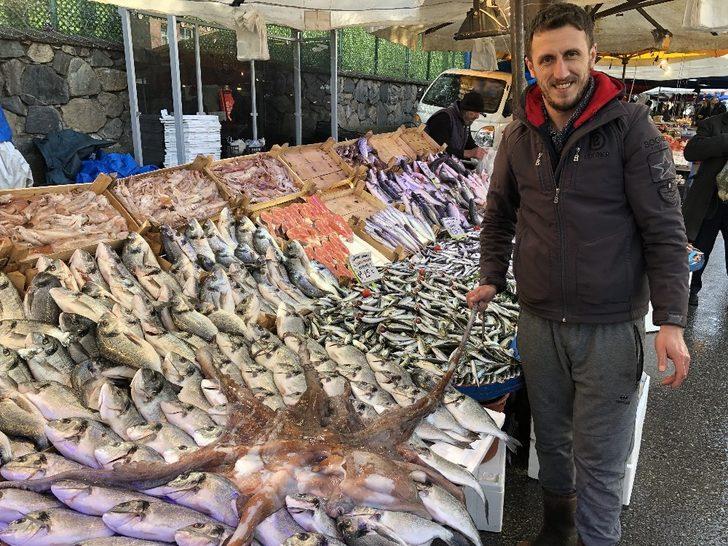 Gören dönüp bir daha baktı... 3 metrelik ahtapot ilgi odağı oldu G2