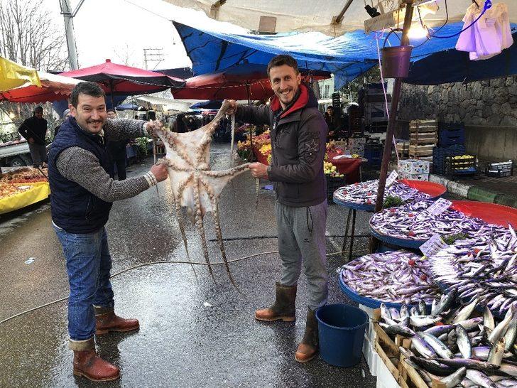 Gören dönüp bir daha baktı... 3 metrelik ahtapot ilgi odağı oldu G3