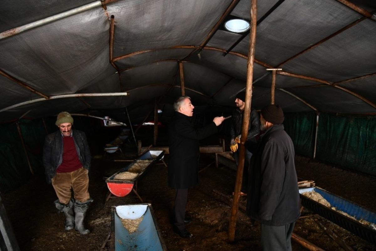 İl Tarım ve Orman M&uuml;d&uuml;r&uuml; Şahin kar yağışında &ccedil;&ouml;ken ağıllarda incelemelerde bulundu