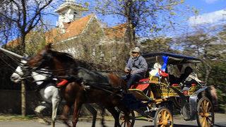 İBB Adalar'daki faytonları yasaklamıştı! Yeni gelişme