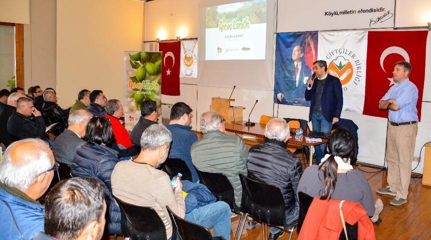 Limonda y&uuml;ksek verimli &ccedil;eşit