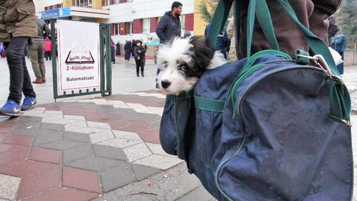 Yavru k&ouml;peğini spor &ccedil;antasında taşıyor