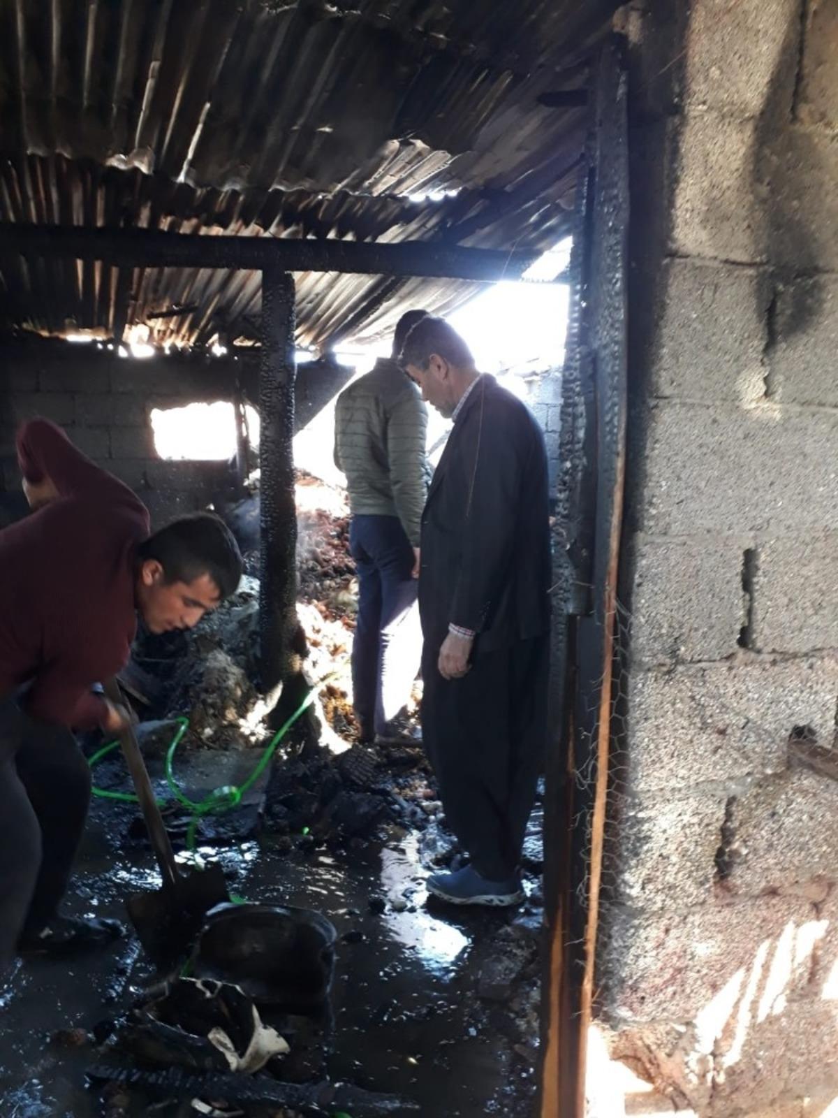 Yakacak k&ouml;m&uuml;rleri yangında k&uuml;l oldu