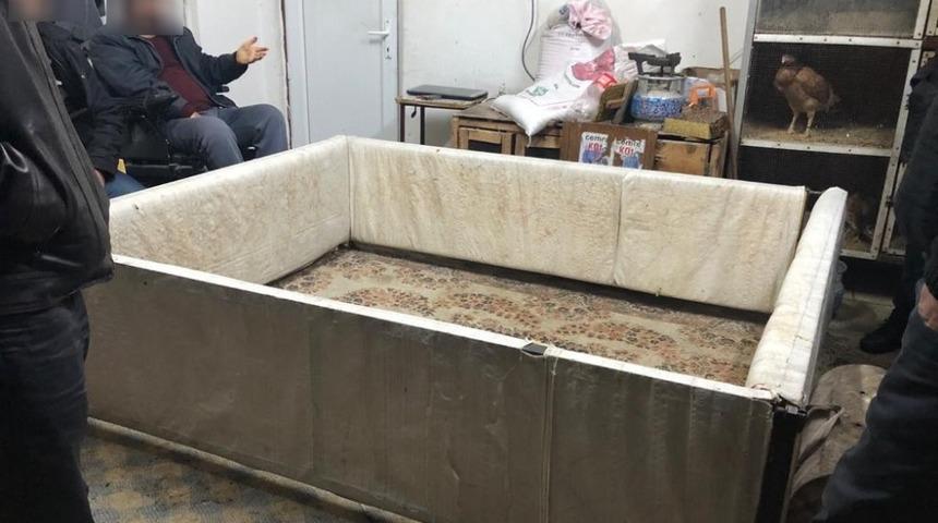 Horoz d&ouml;v&uuml;şt&uuml;ren şahıslara ceza