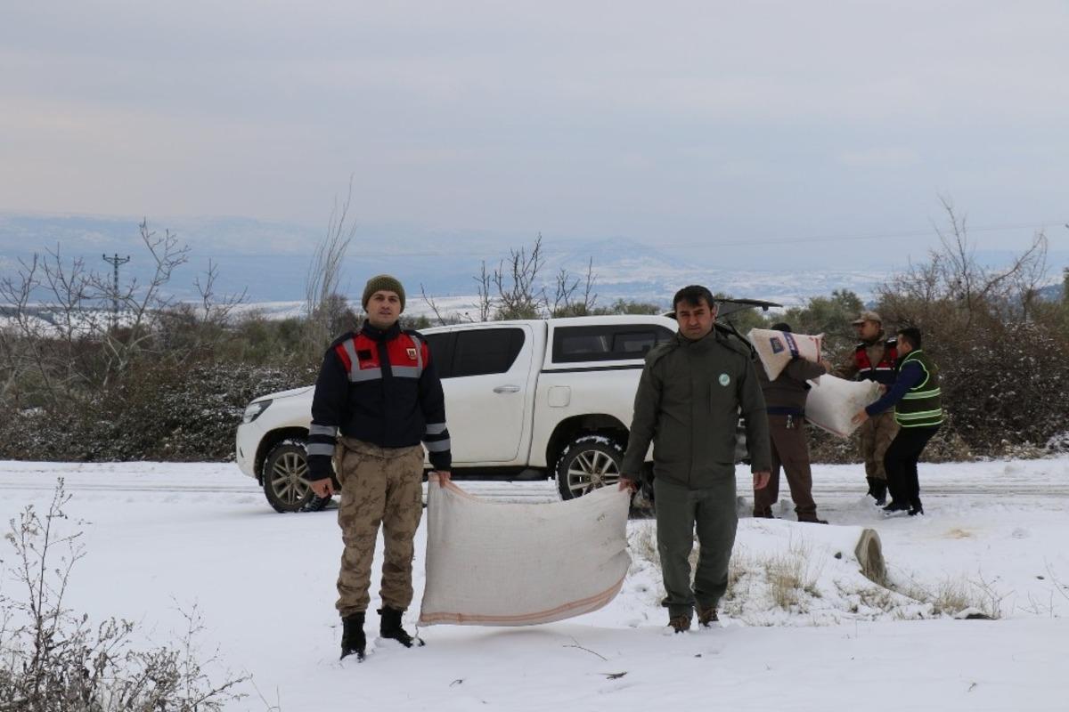 Yaban hayvanları i&ccedil;in doğaya yem bıraktılar