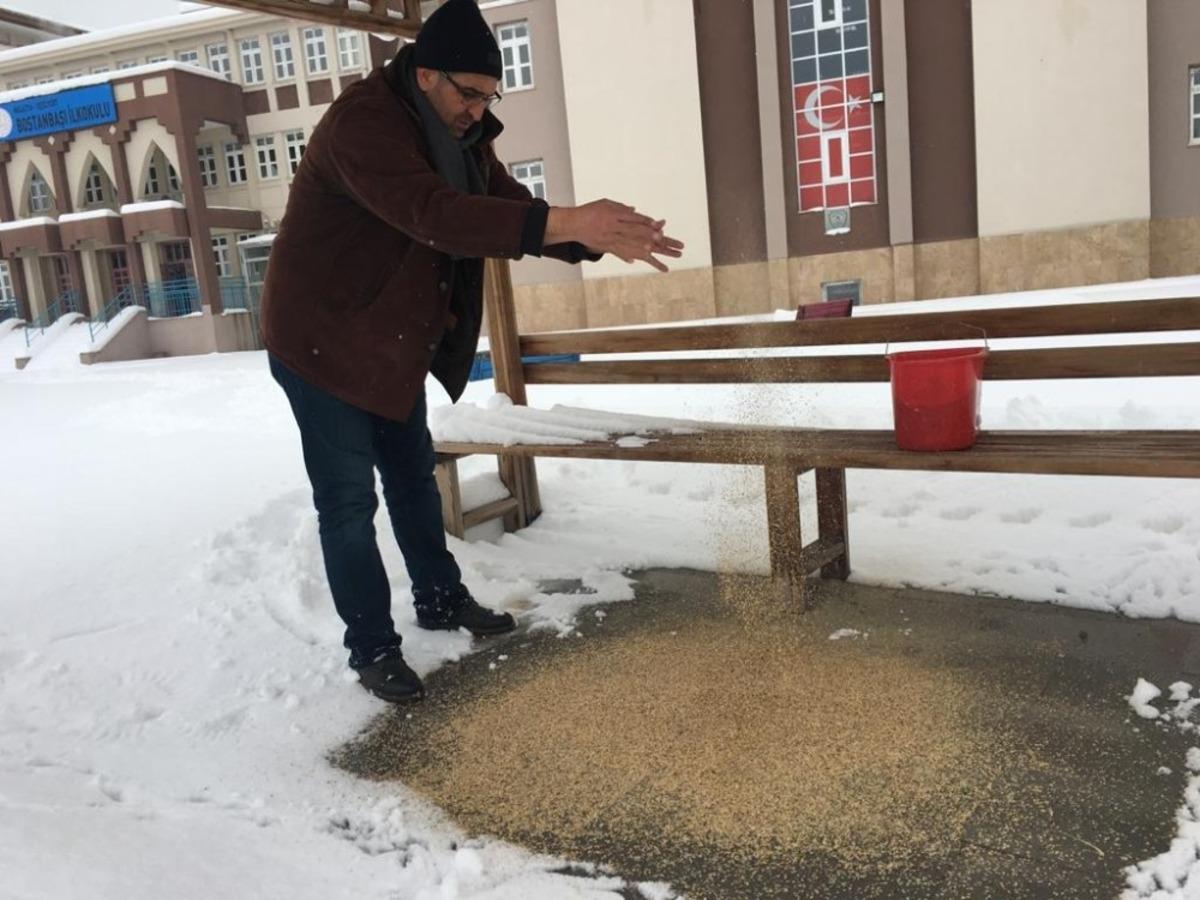 Karda a&ccedil; kalan kuşlar i&ccedil;in doğaya yem bırakıldı
