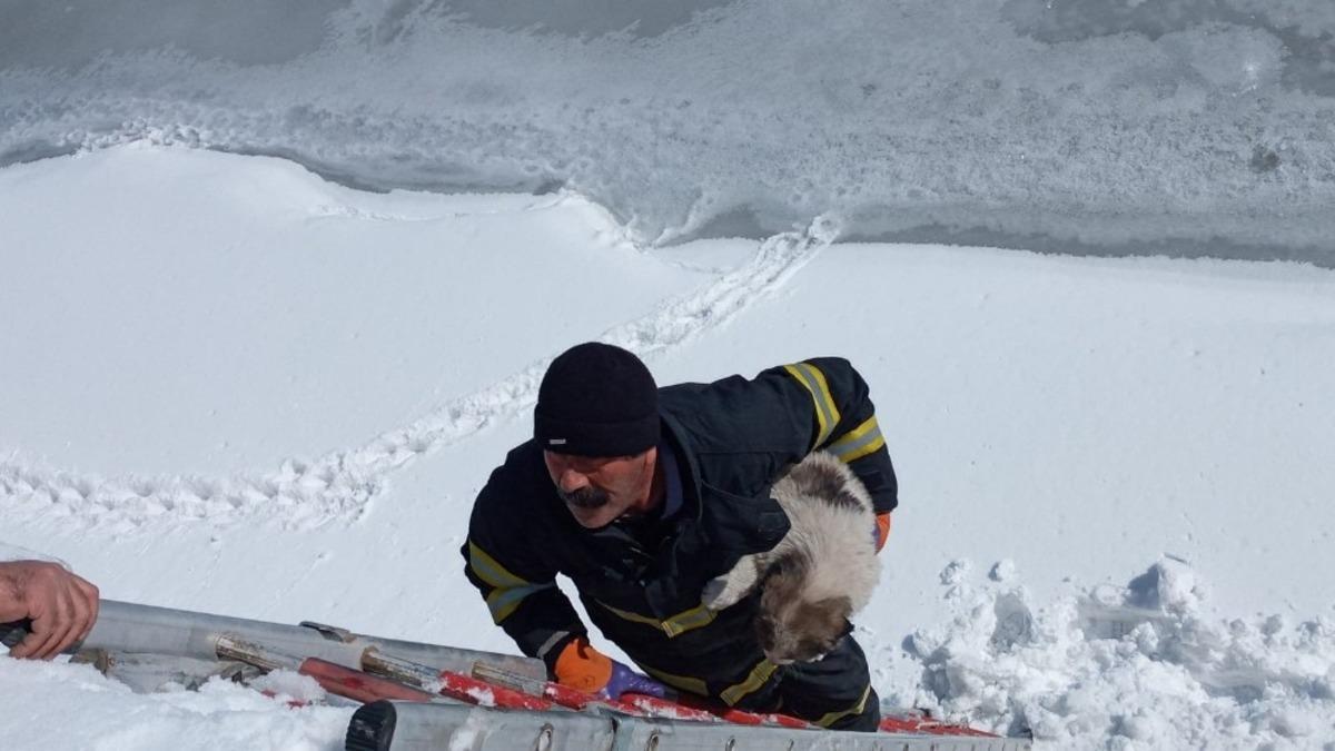 Y&uuml;ksekova&rsquo;da dereye d&uuml;şen yavru k&ouml;pek kurtarıldı