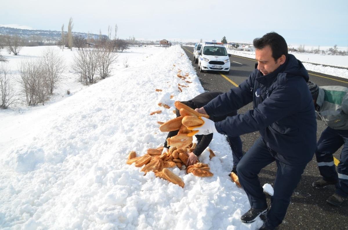 B&uuml;nyan Belediyesi sokak ve yaban hayvanlarını unutmuyor