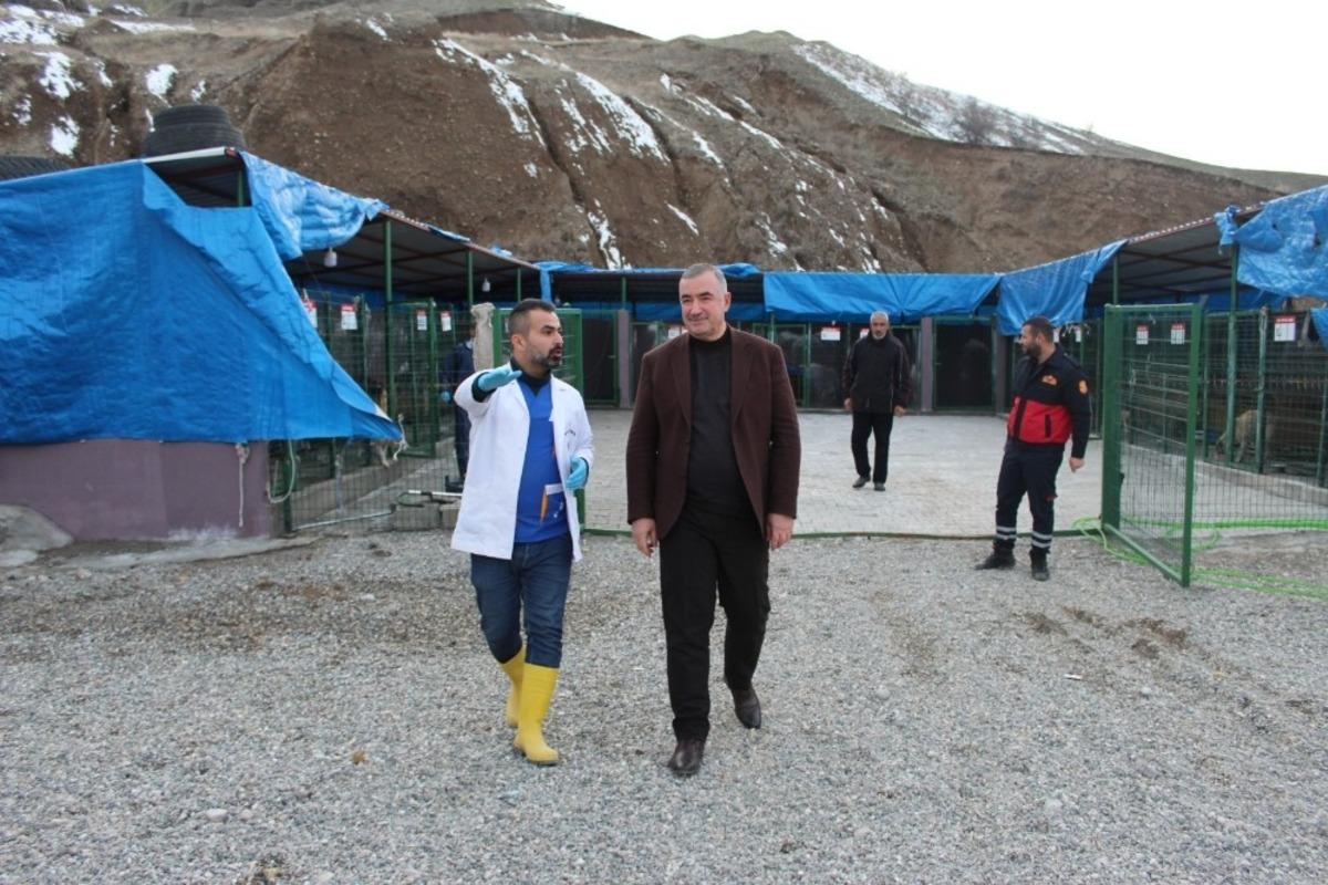 Başkan Turanlı: &ldquo;Hayvanlar, Allah&rsquo;ın bize emanetleridir&rdquo;