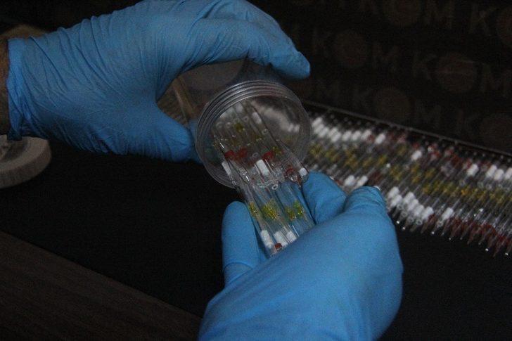 Emlakçıda 314 tüp kobra zehri bulundu! Kimse sahip çıkmadı G4