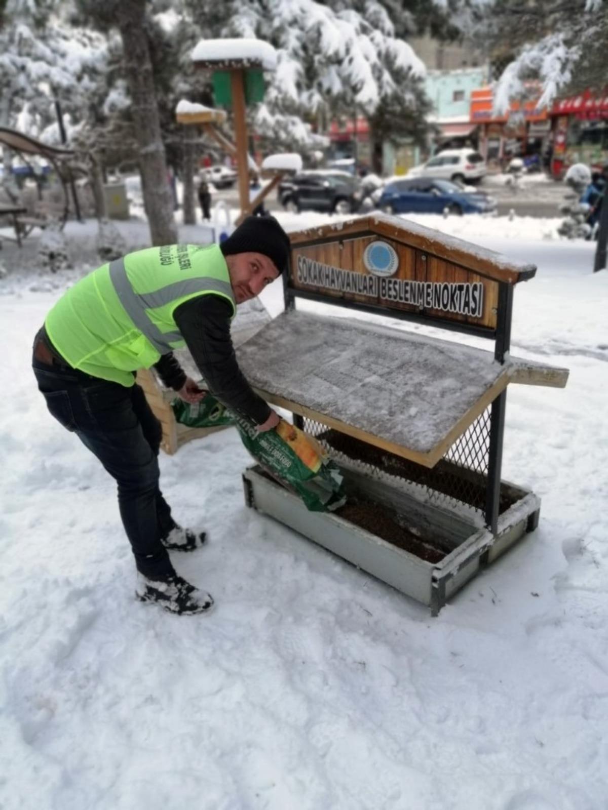 Nevşehir&rsquo;de sokak hayvanları unutulmadı