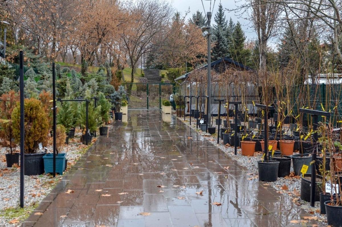 Ankara&rsquo;da yerli bitki &uuml;reticileri kazanacak