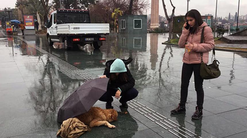 Yağmurda ıslanan köpeğe, şemsiyeli koruma