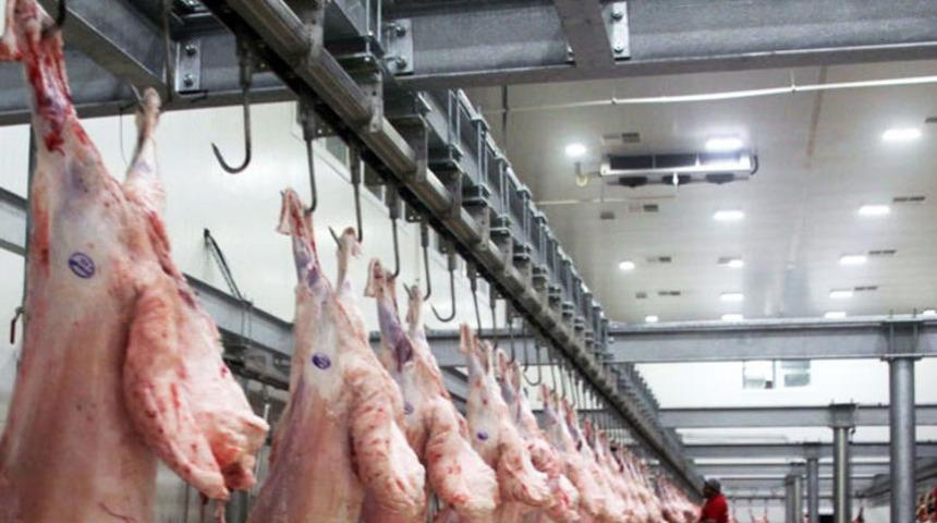 Şarbon hastalığı tespit edildi! Mezbaha ve havyan pazarı kapatıldı