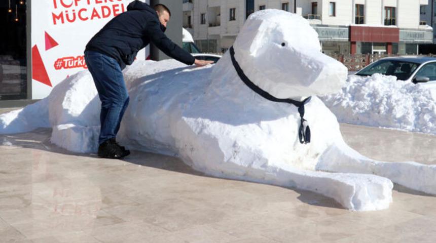 Sivas'ta 5 metrelik kardan kangal k&ouml;peği!