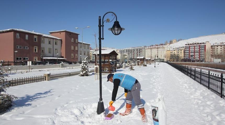 Bayburt Belediyesi sokak hayvanlarını unutmuyor