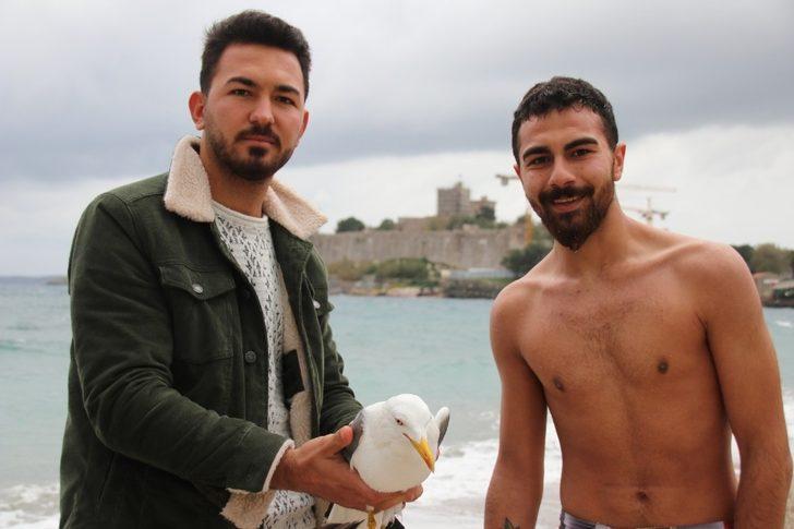 Suda çırpınan martı için soğuk havada denize atladılar G3