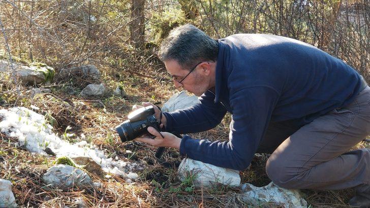 Kardelenler kendini gösterdi! Cezası 73 bin TL G2