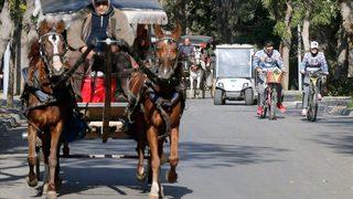Adalar'da faytoncuların oturma eylemi sürüyor