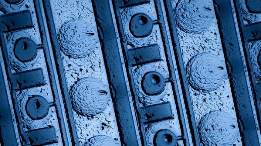 Hızlı sonuç veren 3D yazıcı  