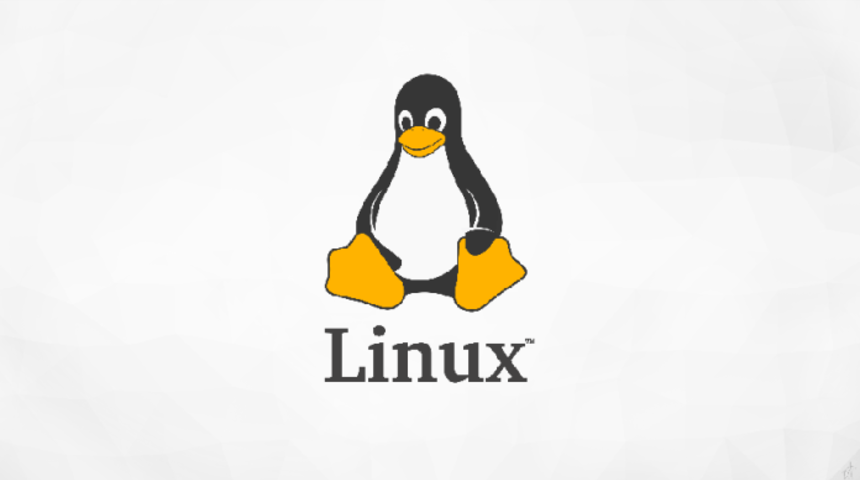 Linux işletim sistemi yoğun talep g&ouml;r&uuml;yor