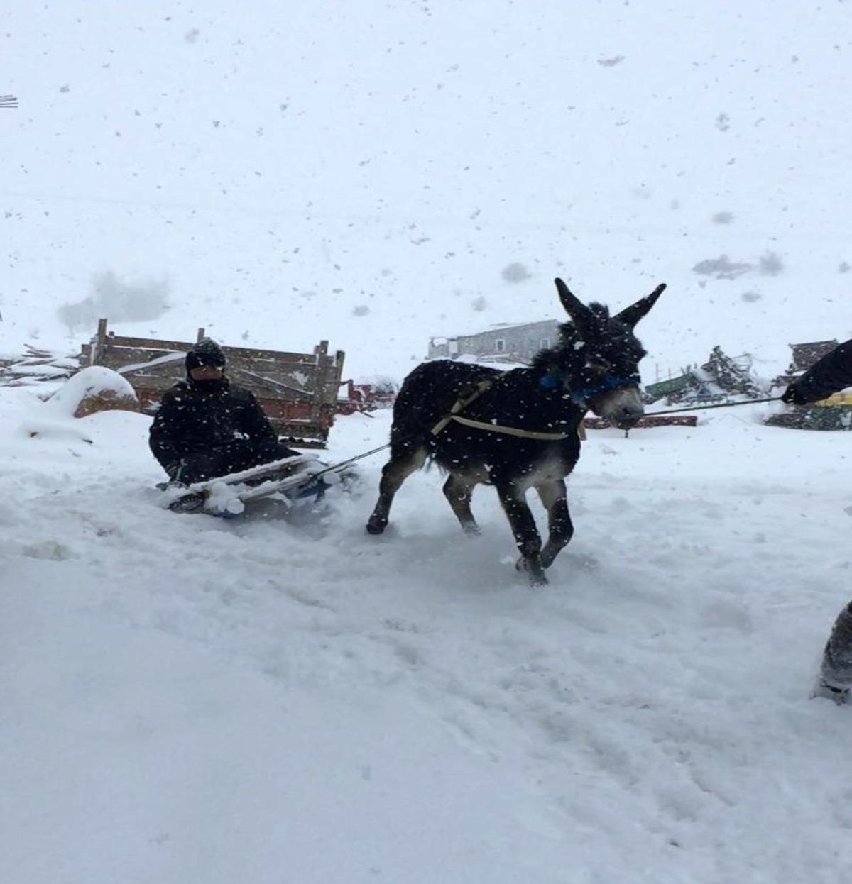 &Ccedil;ocukların eşekli kızak keyfi