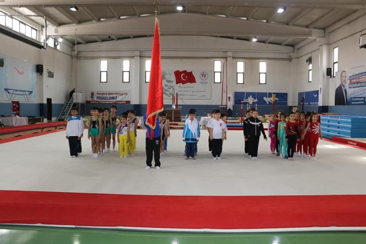 Analig Cimnastik&rsquo;te Kayseri kız ve erkek takımları yarı finale y&uuml;kseldi