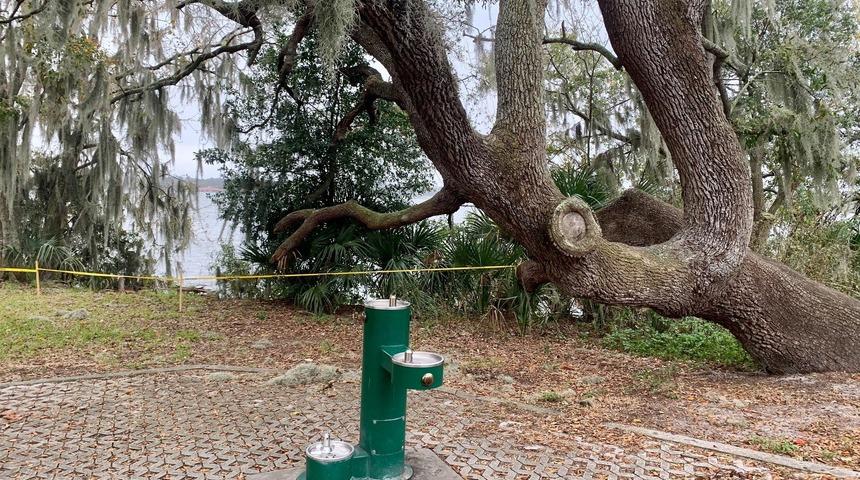 'Toplu &ccedil;iftleşme' başlayınca parkı kısmen ziyarete kapatıldı