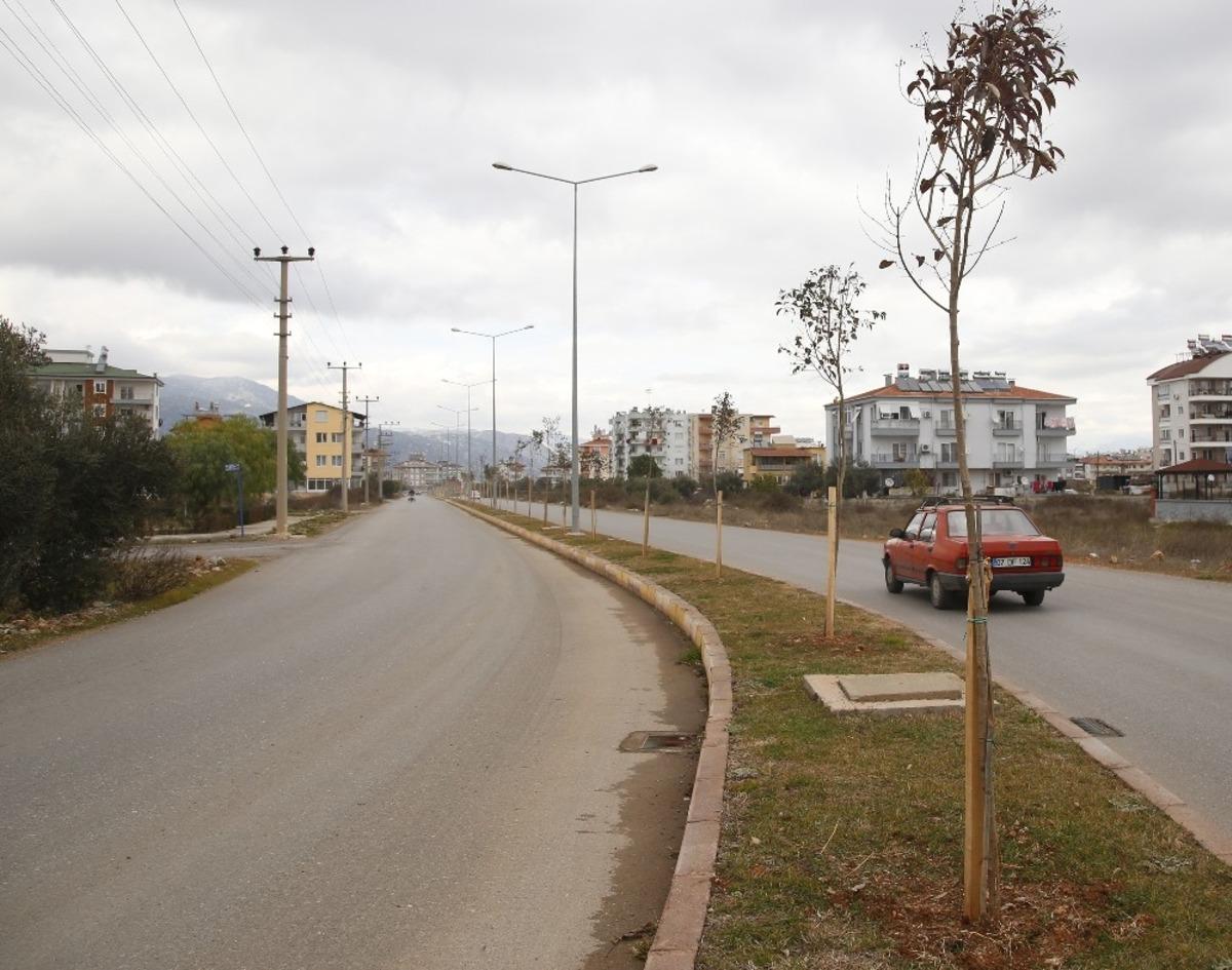 D&ouml;şemealtı&rsquo;nda ağa&ccedil;landırma seferberliği