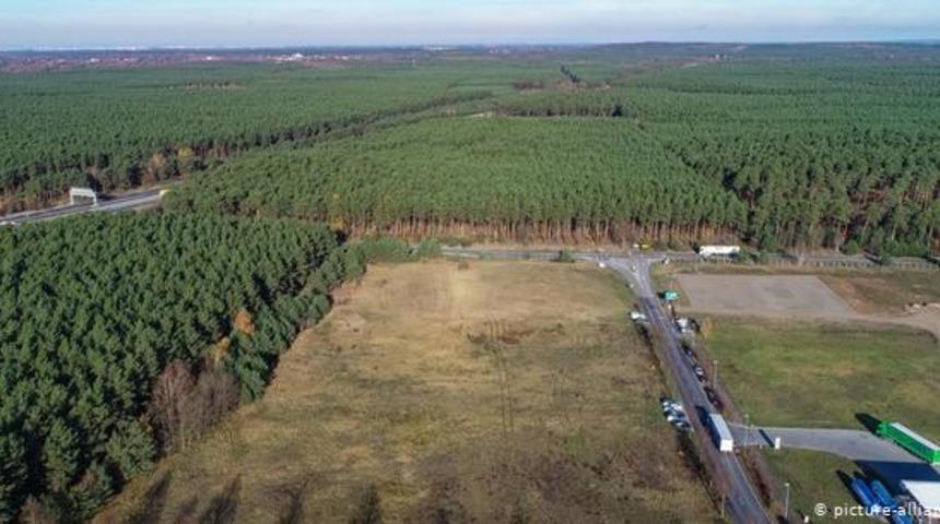 Tesla'nın Almanya'da kuracağı fabrikaya çevrecilerden fren